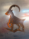 Chamois