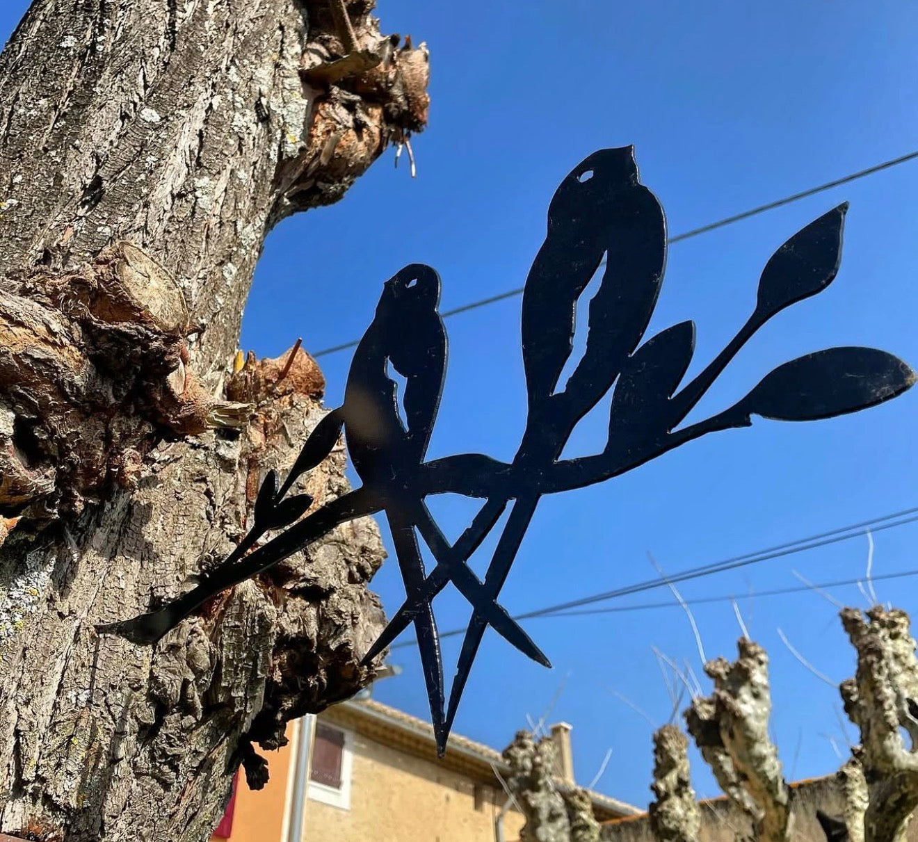 Oiseaux
